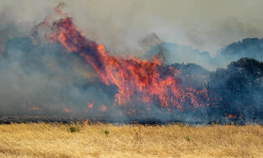 Προφυλακιστέοι η 50χρονη και ο ανήλικος γιος της για εμπρησμούς στη Νέα Μάκρη – Ελεύθερος ο 61χρονος ορθοπεδικός